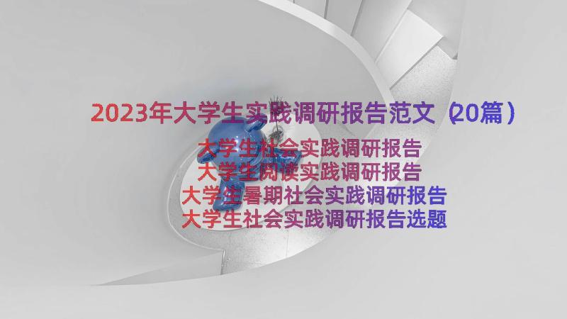 2023年大学生实践调研报告范文（20篇）