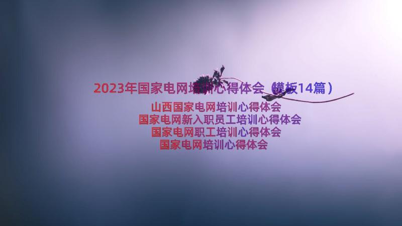 2023年国家电网培训心得体会（模板14篇）