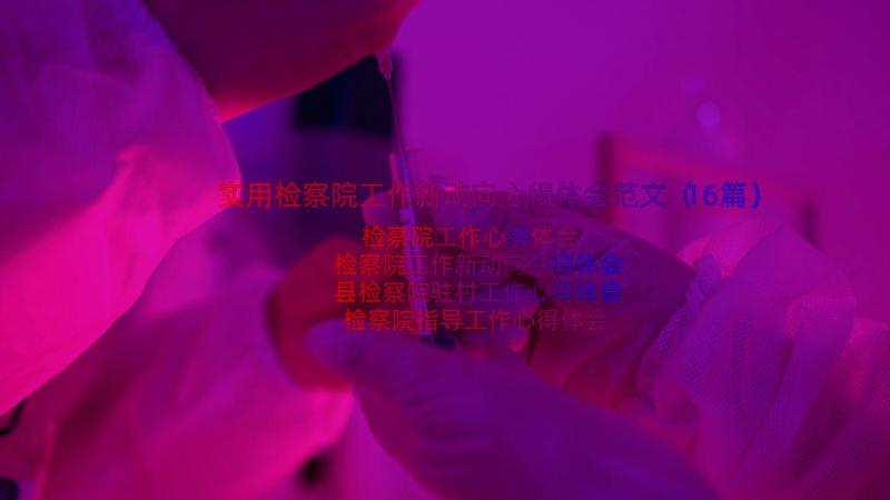 实用检察院工作新动向心得体会范文（16篇）