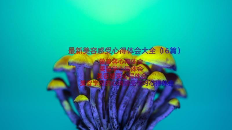 最新美容感受心得体会大全（16篇）