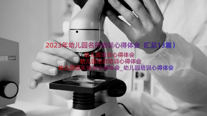 2023年幼儿园名师培训心得体会（汇总13篇）