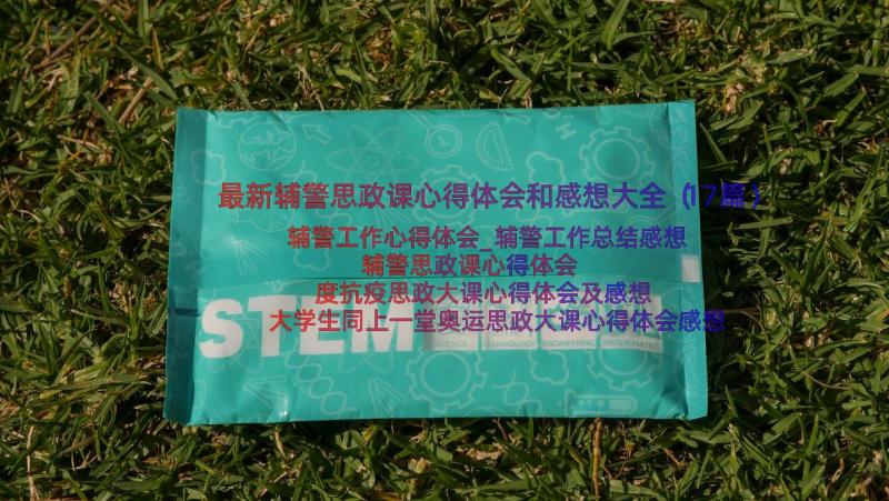 最新辅警思政课心得体会和感想大全（17篇）