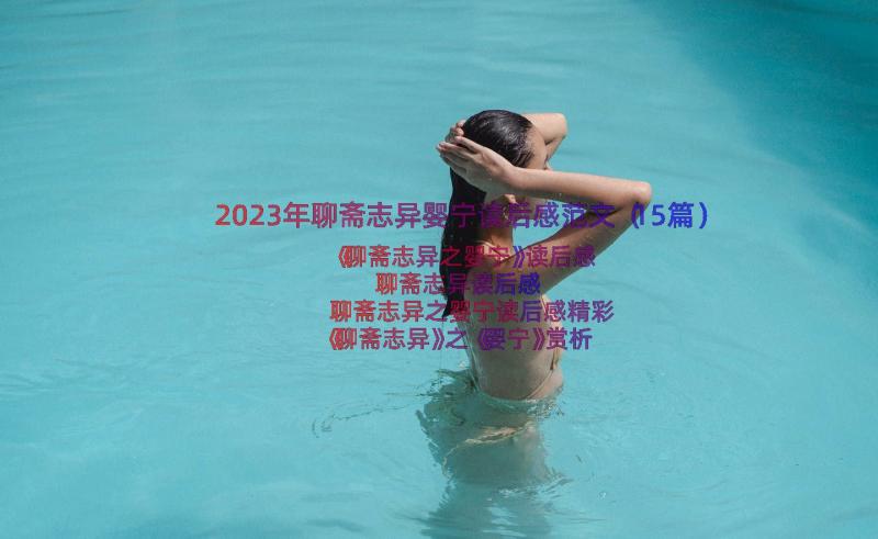 2023年聊斋志异婴宁读后感范文（15篇）