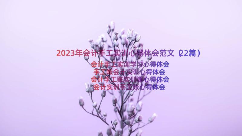 2023年会计手工实训心得体会范文（22篇）