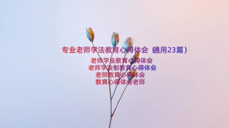 专业老师学法教育心得体会（通用23篇）