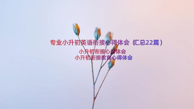 专业小升初英语衔接心得体会（汇总22篇）