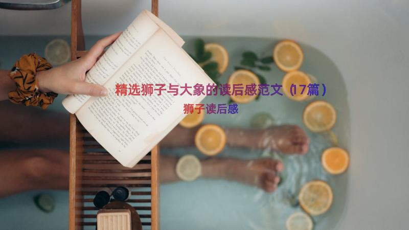 精选狮子与大象的读后感范文（17篇）