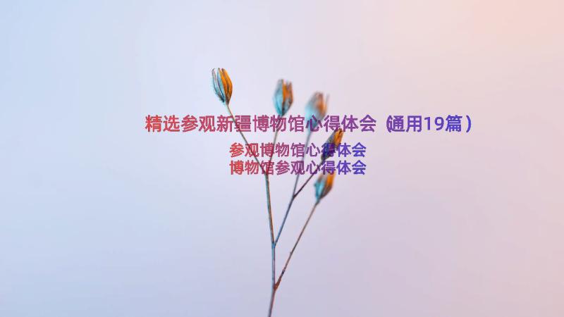 精选参观新疆博物馆心得体会（通用19篇）