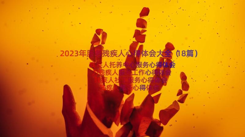 2023年服务残疾人心得体会大全（18篇）