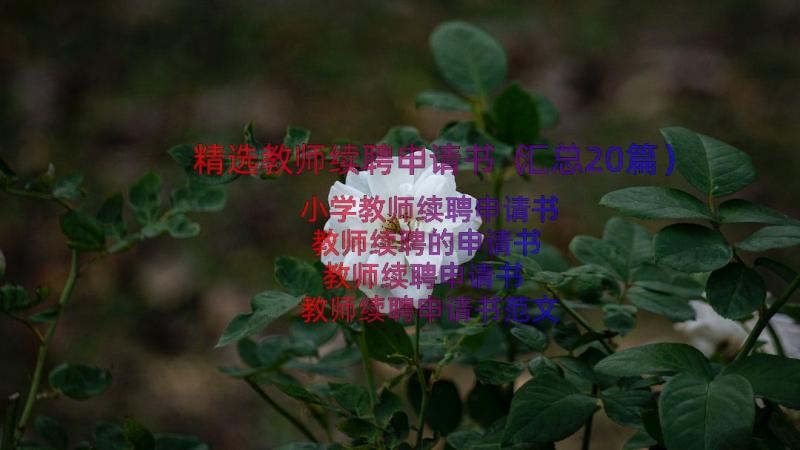 精选教师续聘申请书（汇总20篇）