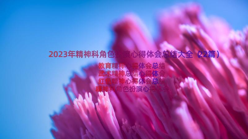 2023年精神科角色扮演心得体会总结大全（22篇）