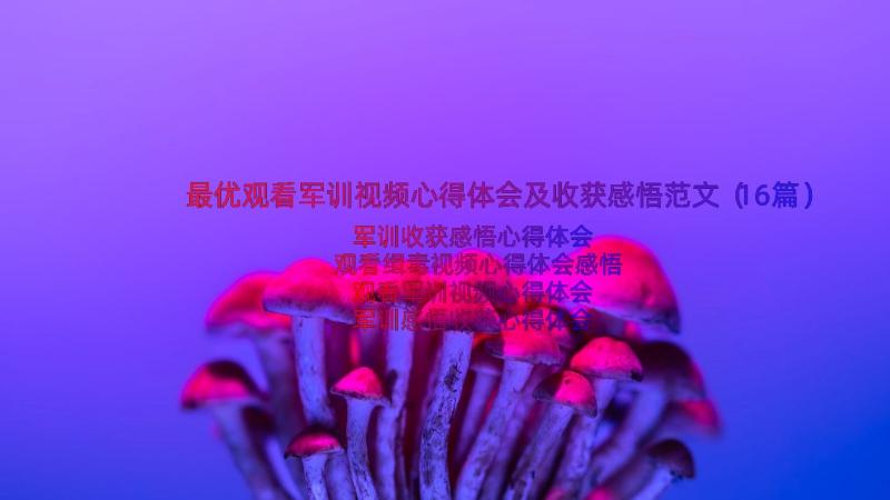 最优观看军训视频心得体会及收获感悟范文（16篇）