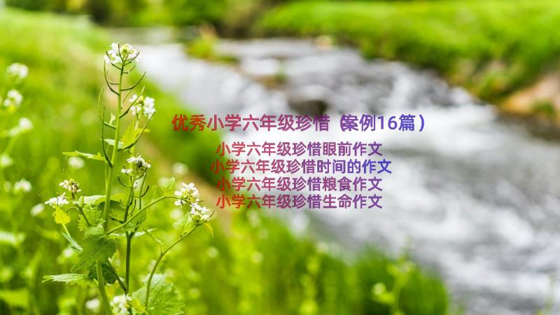 优秀小学六年级珍惜（案例16篇）