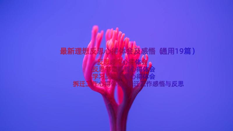 最新理想反思心得体会及感悟（通用19篇）