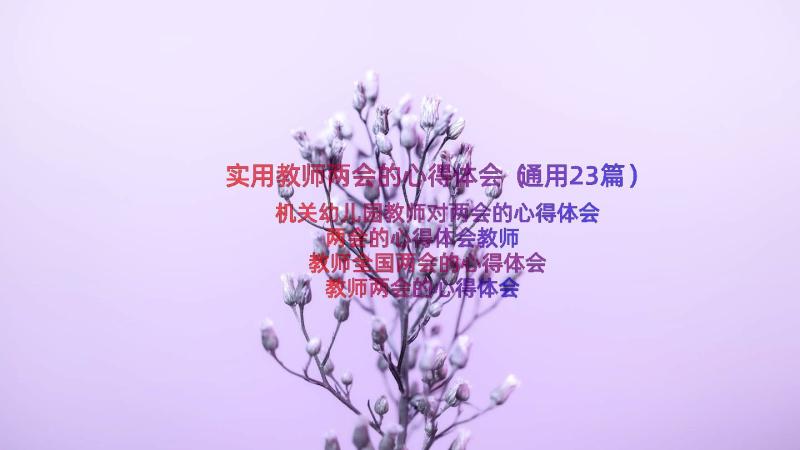 实用教师两会的心得体会（通用23篇）