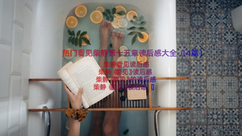 热门看见柴静第十五章读后感大全（14篇）