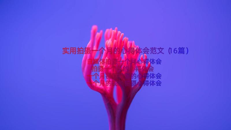 实用拍摄一个月的心得体会范文（16篇）