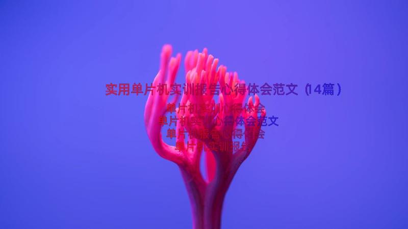 实用单片机实训报告心得体会范文（14篇）