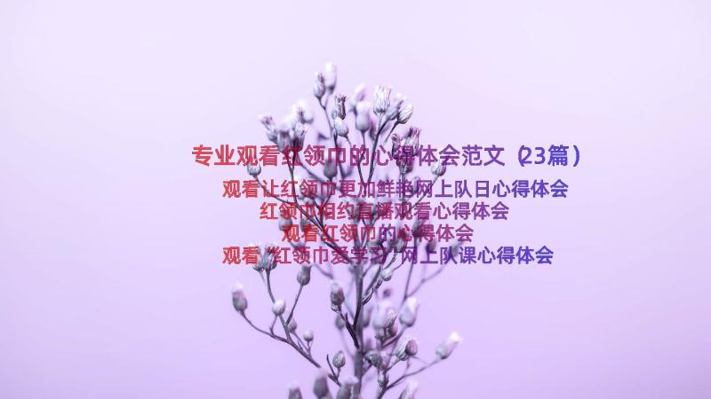 专业观看红领巾的心得体会范文（23篇）