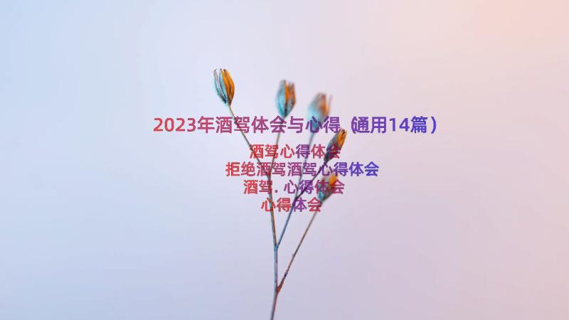 2023年酒驾体会与心得（通用14篇）