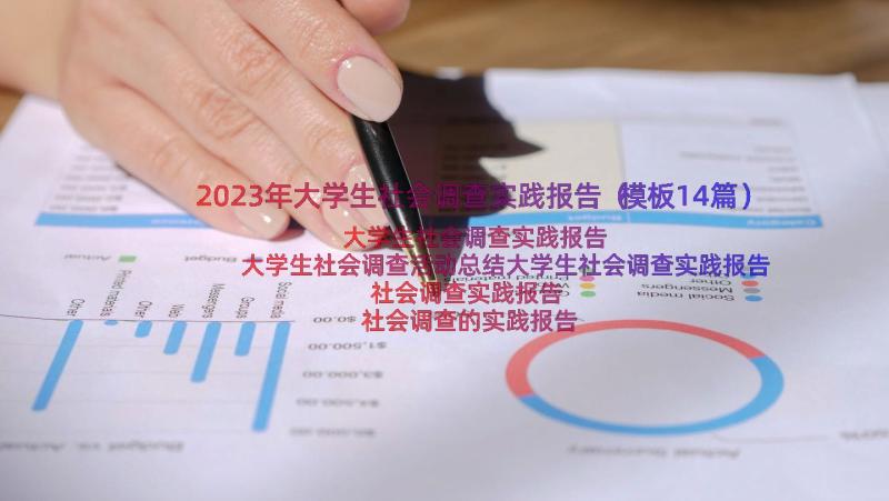 2023年大学生社会调查实践报告（模板14篇）