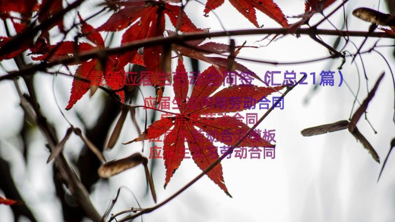 最新应届生劳动合同签（汇总21篇）