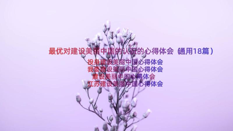 最优对建设美丽中国的认识的心得体会（通用18篇）