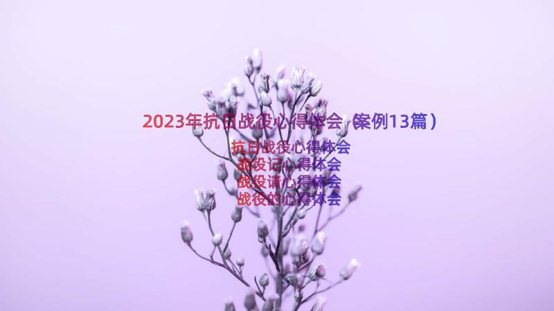 2023年抗日战役心得体会（案例13篇）