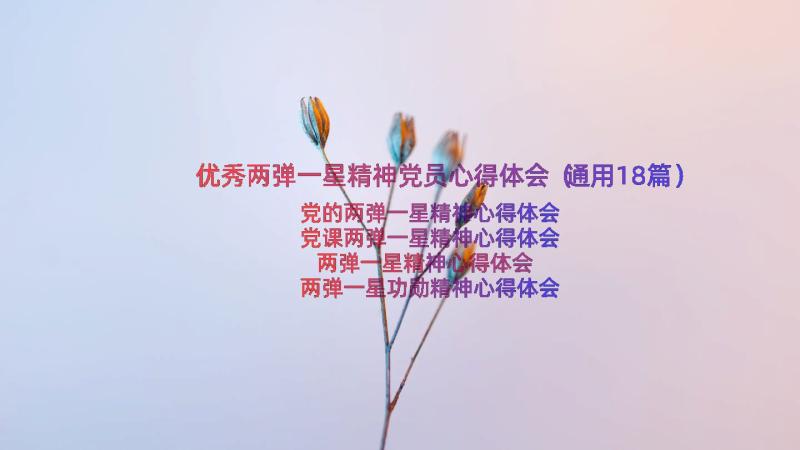 优秀两弹一星精神党员心得体会（通用18篇）