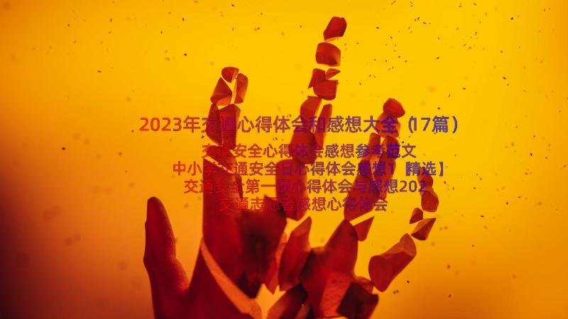 2023年交通心得体会和感想大全（17篇）