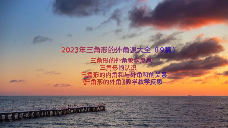 2023年三角形的外角课大全（19篇）