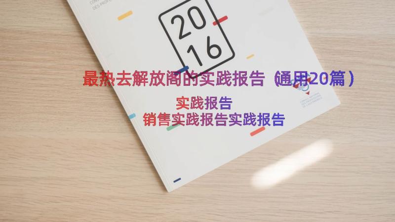 最热去解放阁的实践报告（通用20篇）