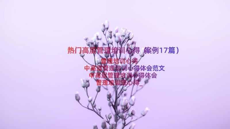 热门高层管理培训心得（案例17篇）