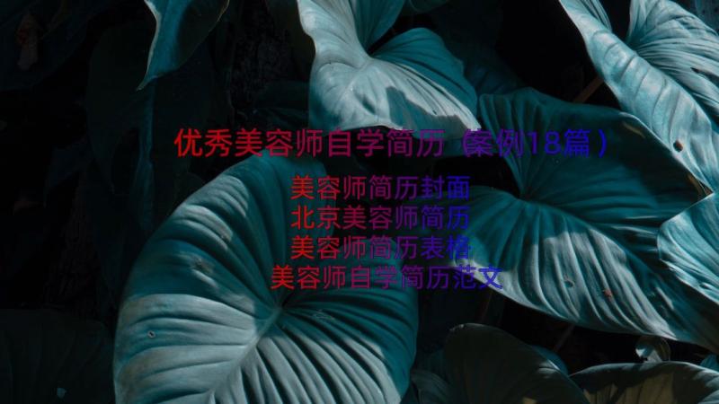 优秀美容师自学简历（案例18篇）