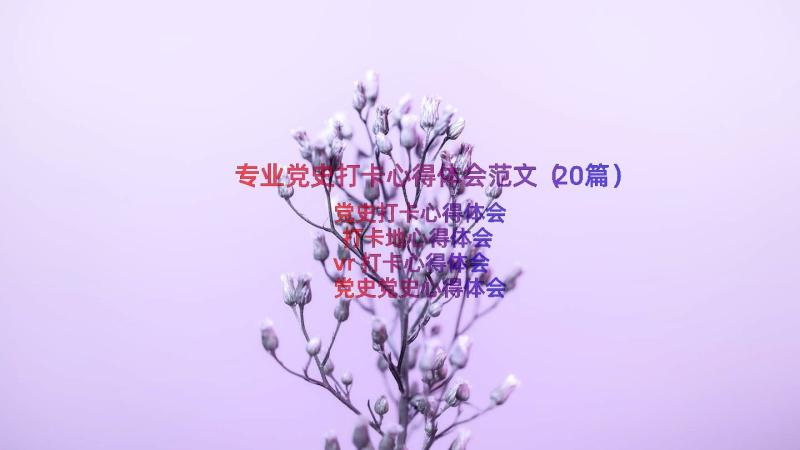 专业党史打卡心得体会范文（20篇）