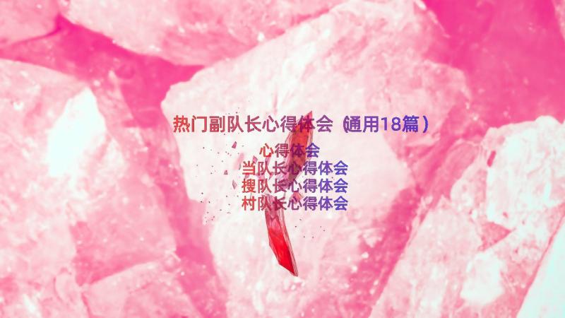 热门副队长心得体会（通用18篇）