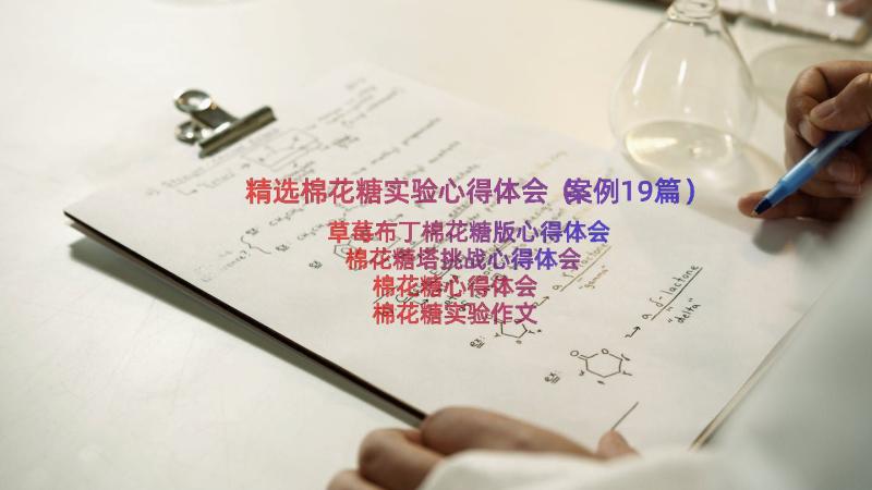 精选棉花糖实验心得体会（案例19篇）