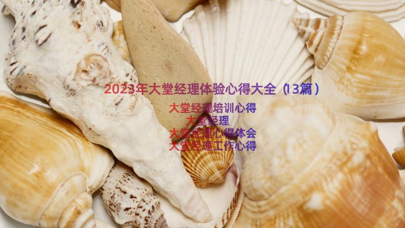 2023年大堂经理体验心得大全（13篇）