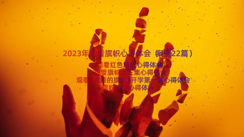 2023年观看旗帜心得体会（案例22篇）