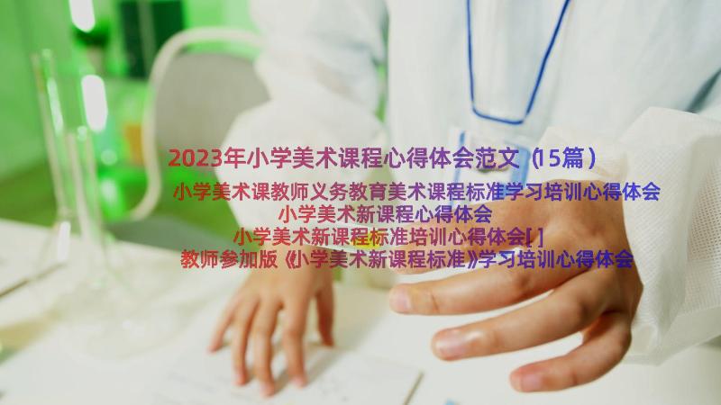 2023年小学美术课程心得体会范文（15篇）