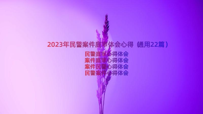 2023年民警案件庭审体会心得（通用22篇）