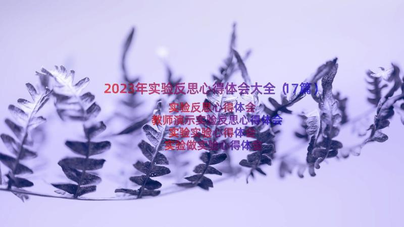 2023年实验反思心得体会大全（17篇）