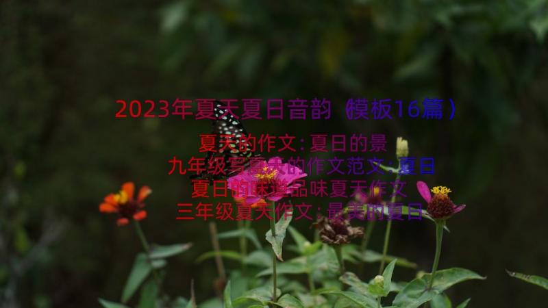 2023年夏天夏日音韵（模板16篇）