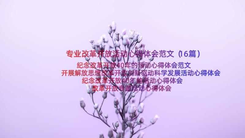 专业改革开放活动心得体会范文（16篇）