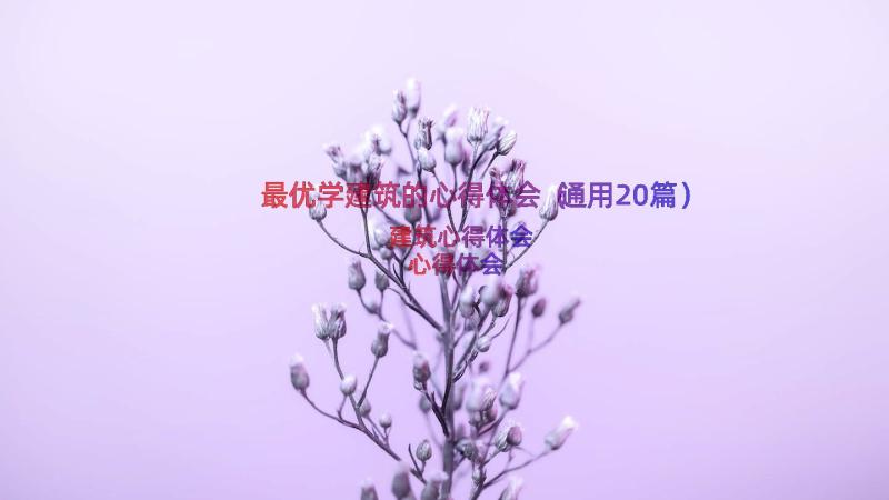 最优学建筑的心得体会（通用20篇）