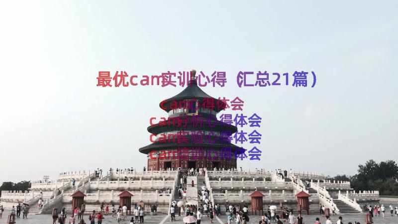 最优cam实训心得（汇总21篇）