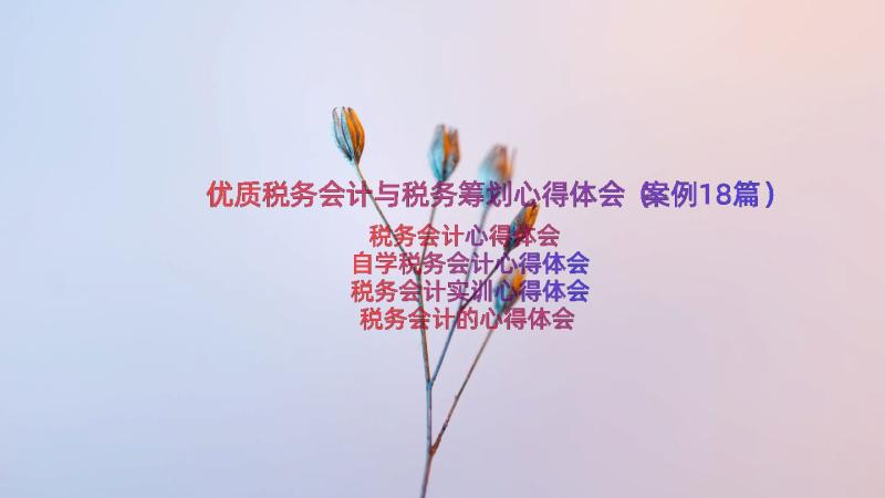 优质税务会计与税务筹划心得体会（案例18篇）