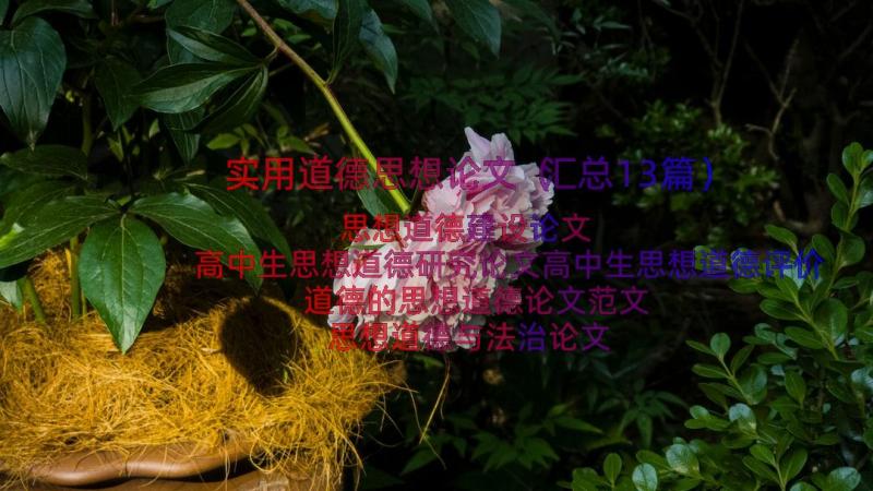 实用道德思想论文（汇总13篇）