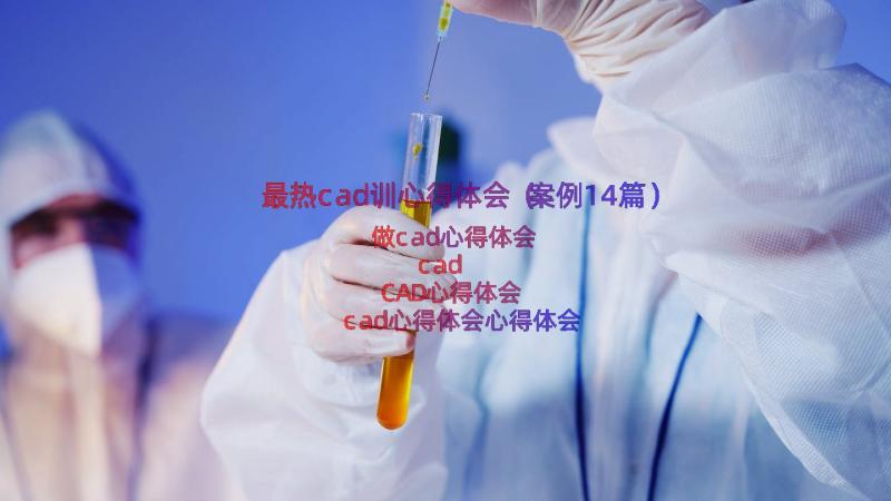 最热cad训心得体会（案例14篇）