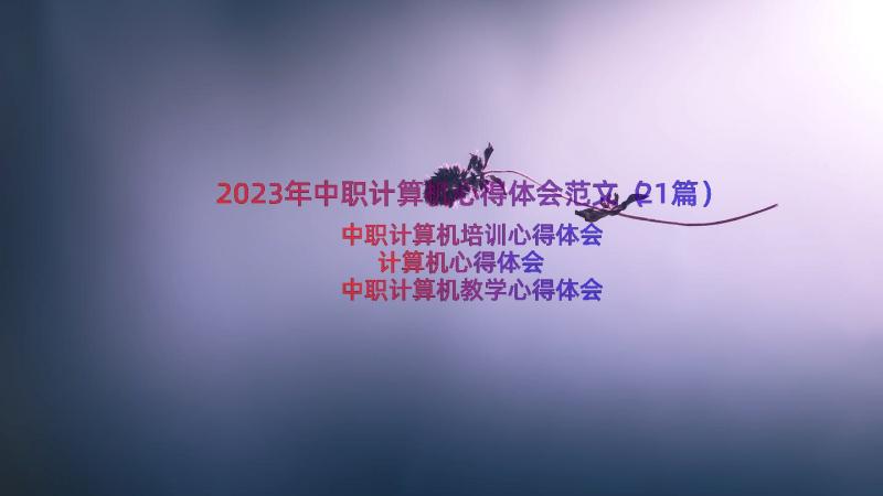 2023年中职计算机心得体会范文（21篇）